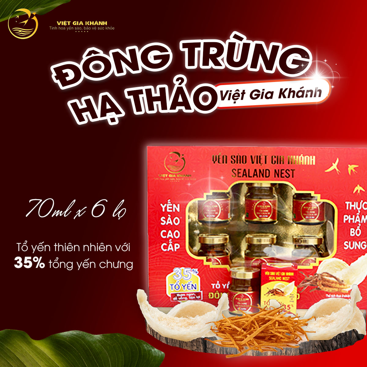 DTHT 70_Hộp